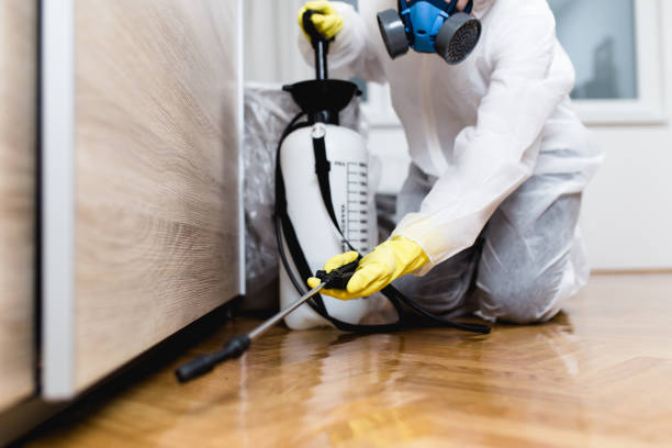 Best Mosquito Control Services  in Ensley, FL