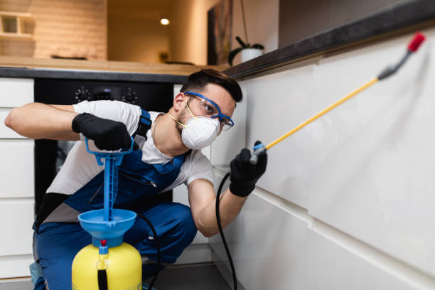Best Wasp Removal Services  in Ensley, FL