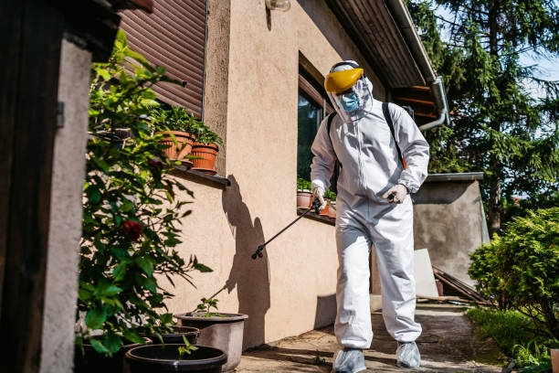 Best Pest Removal Services  in Ensley, FL