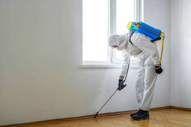 Best Termite Control Services  in Ensley, FL