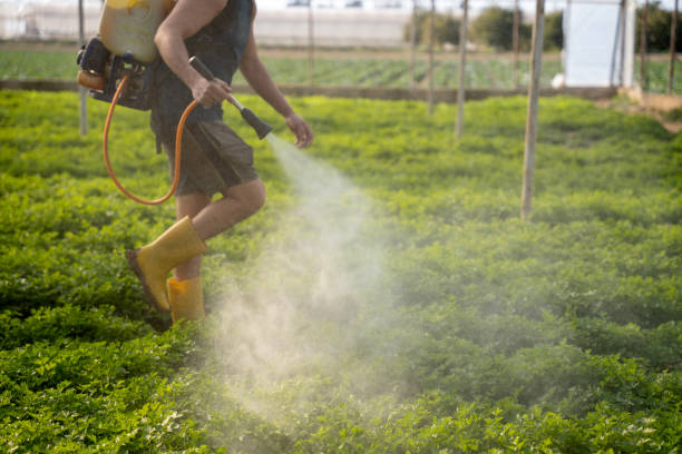 Best Pest Control Near Me  in Ensley, FL