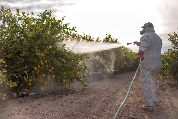 Pest Control Cost in Ensley, FL