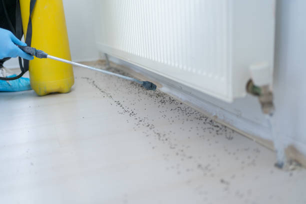 Best Emergency Pest Control  in Ensley, FL