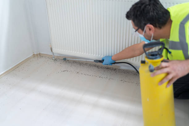 Best Flea Control Services  in Ensley, FL