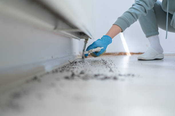 Best Mosquito Control Services  in Ensley, FL