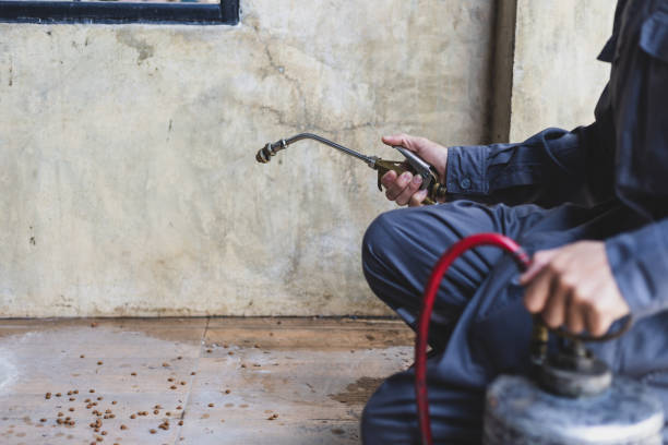 Best Residential Pest Control  in Ensley, FL